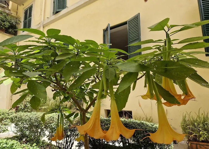 Borsieri Apartamento Roma
